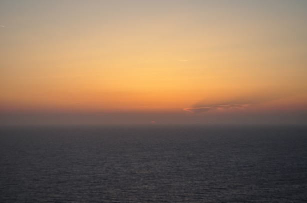 DSC_0973